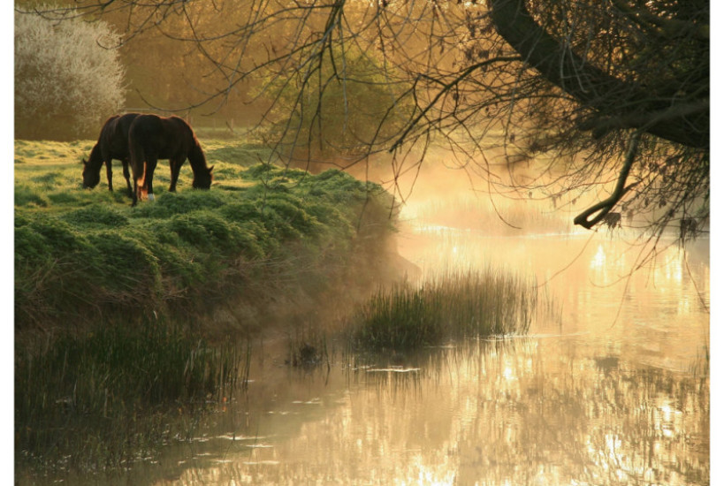 John-Bannerman-7-e1454583508612-819×550